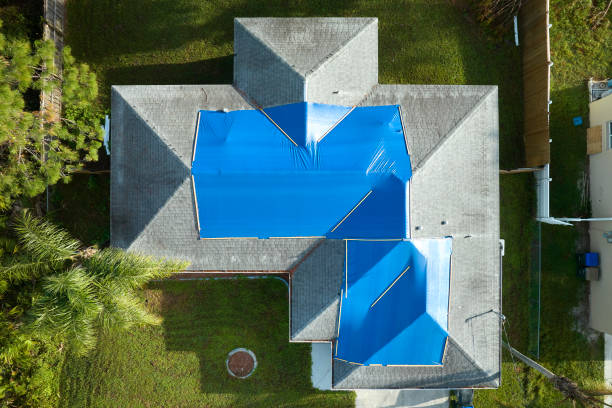 Best Roof Moss and Algae Removal  in Franklin Furnace, OH